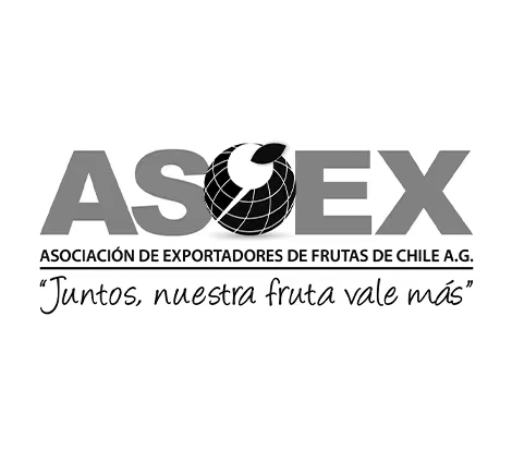 Asoex