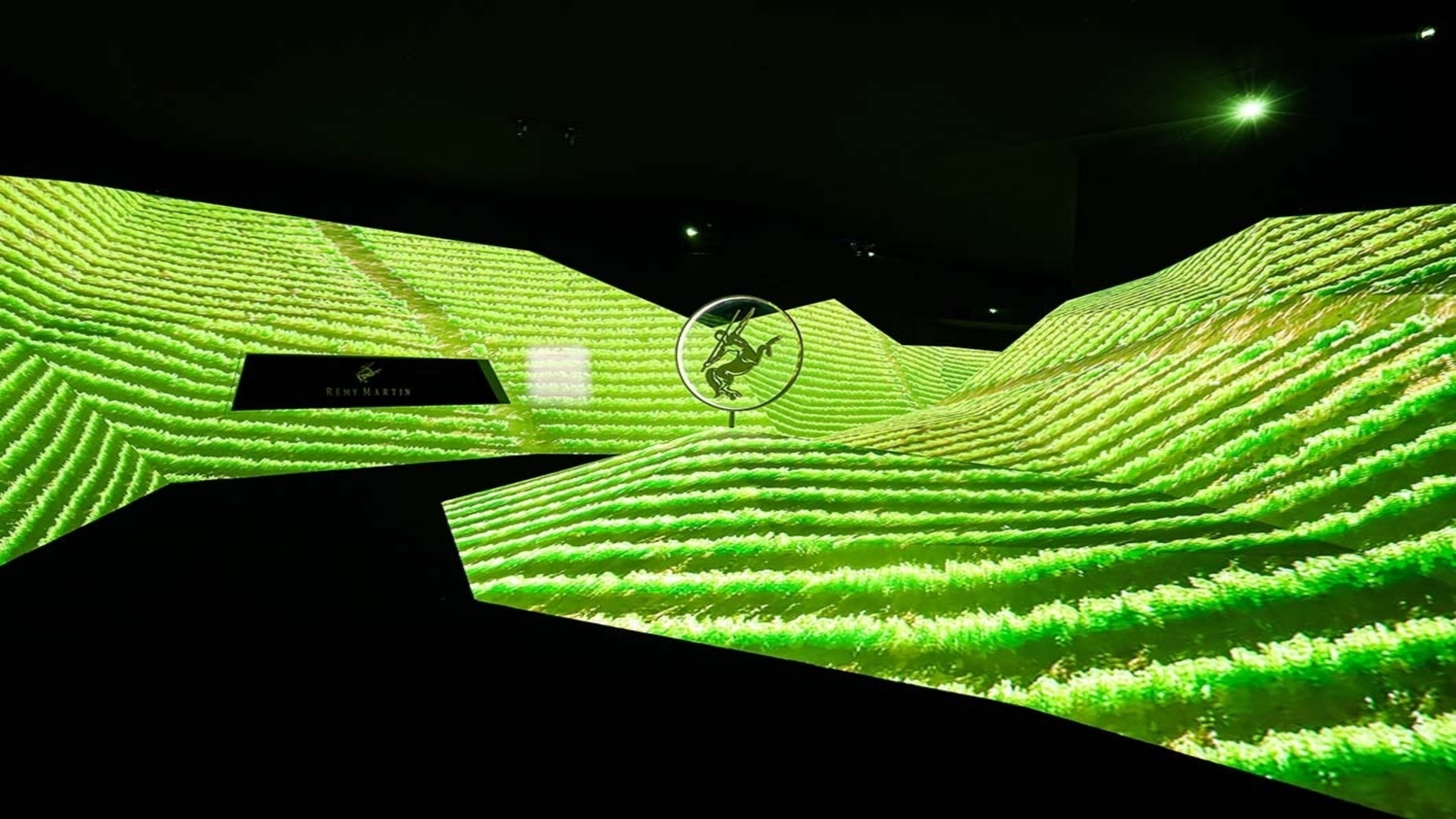 La Maison Rémy Martin